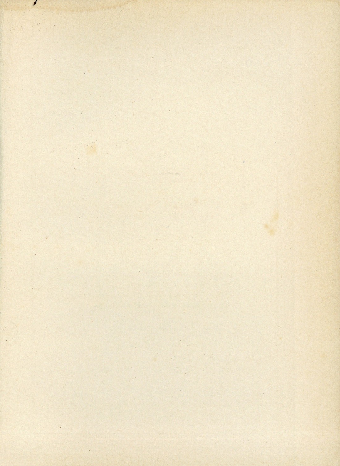 verso [265 KB] 