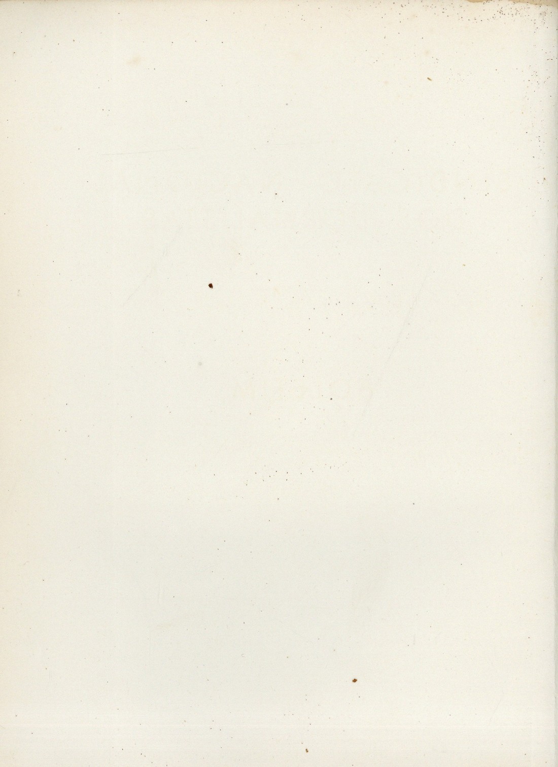 branca [198 KB] 