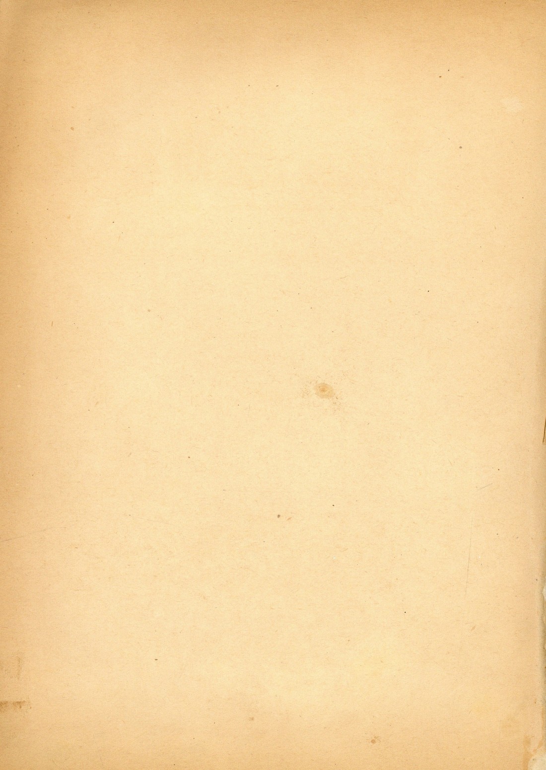 branca [275 KB] 