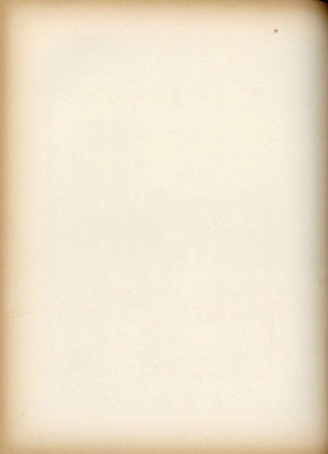 verso [215 KB] 