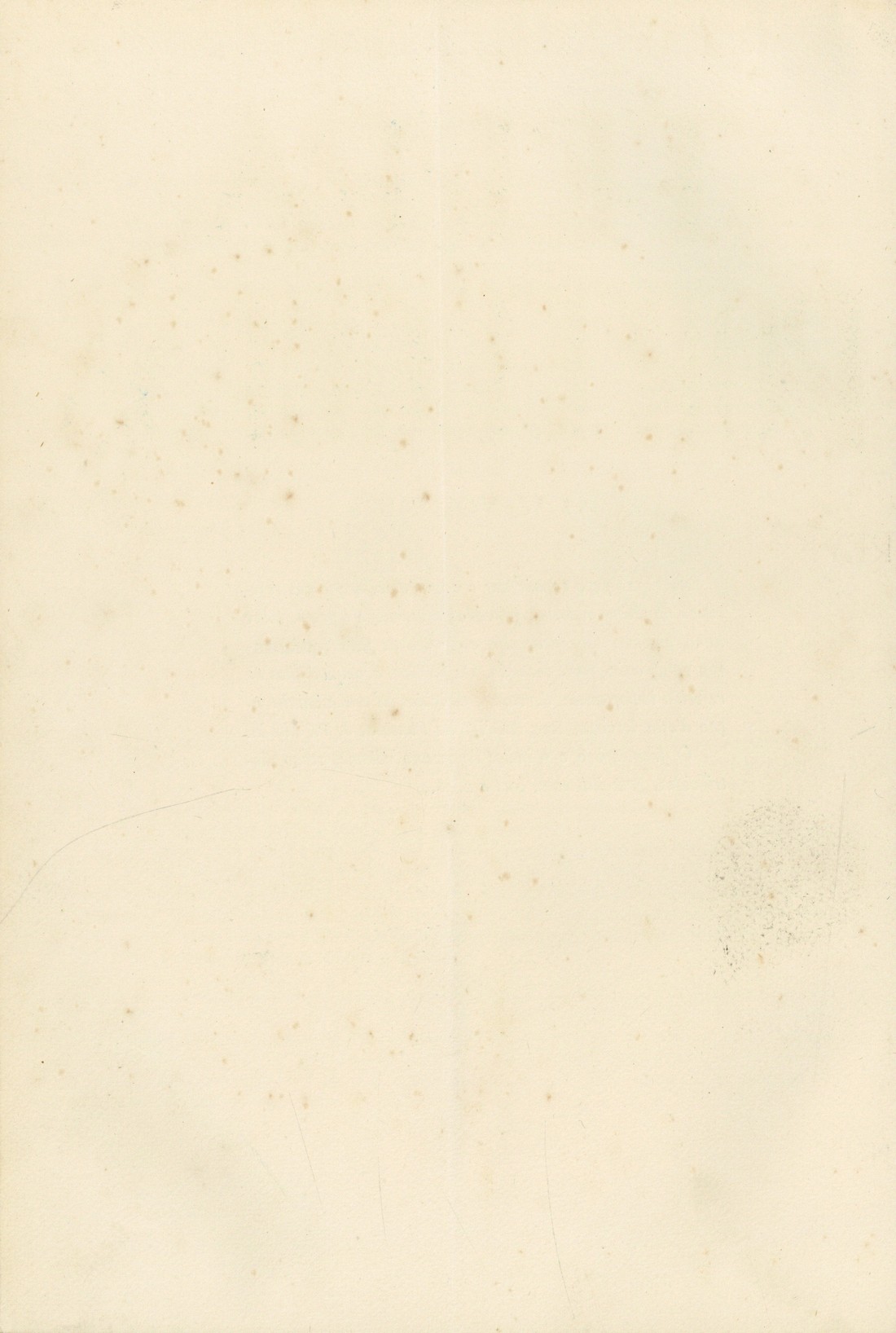 contracapa [197 KB] 