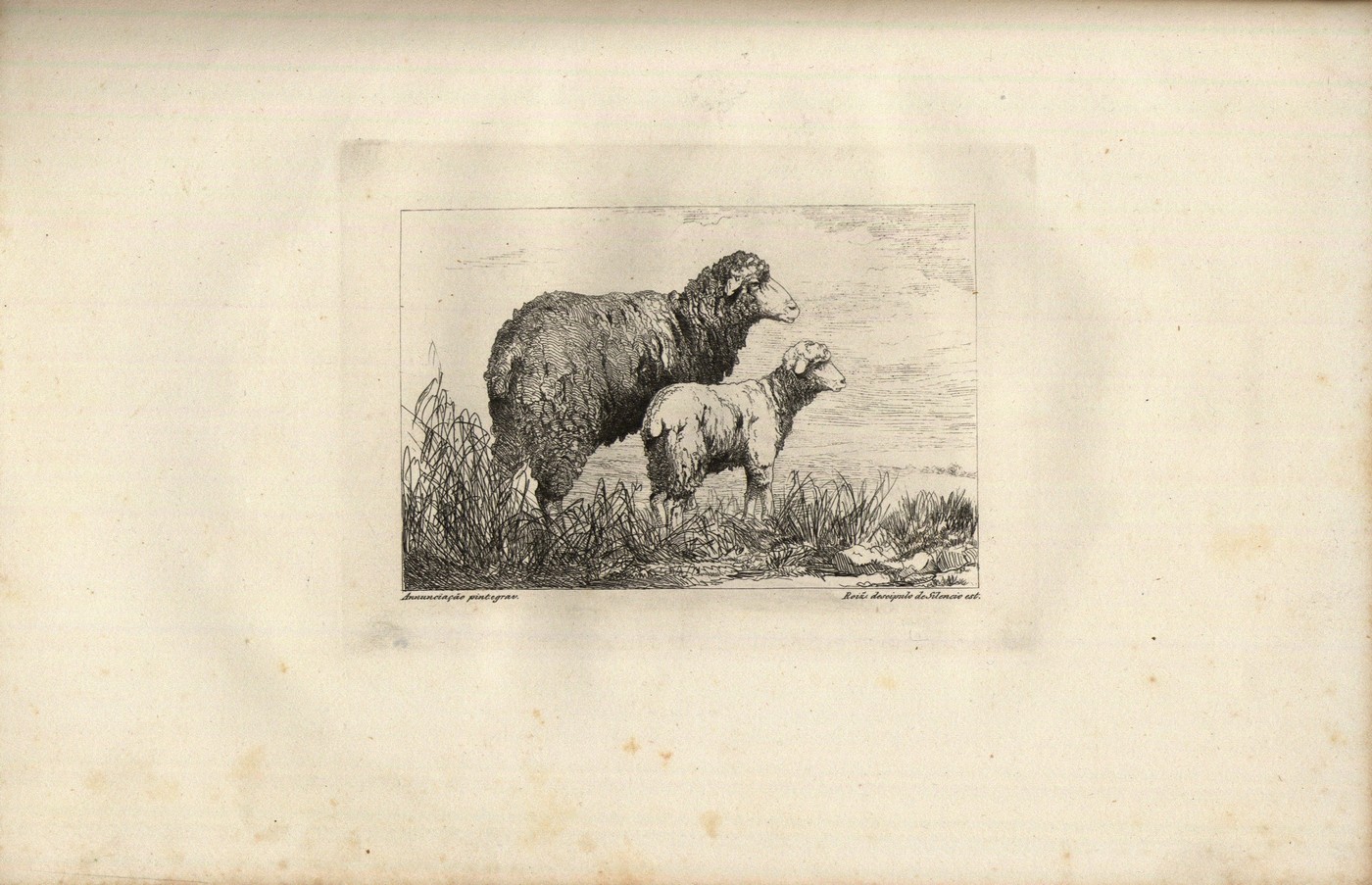 ilustração [311 KB] 